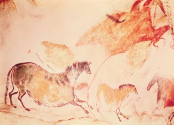 O ata vali papa o solofanua, c.17000 BC (valivali ana)swed